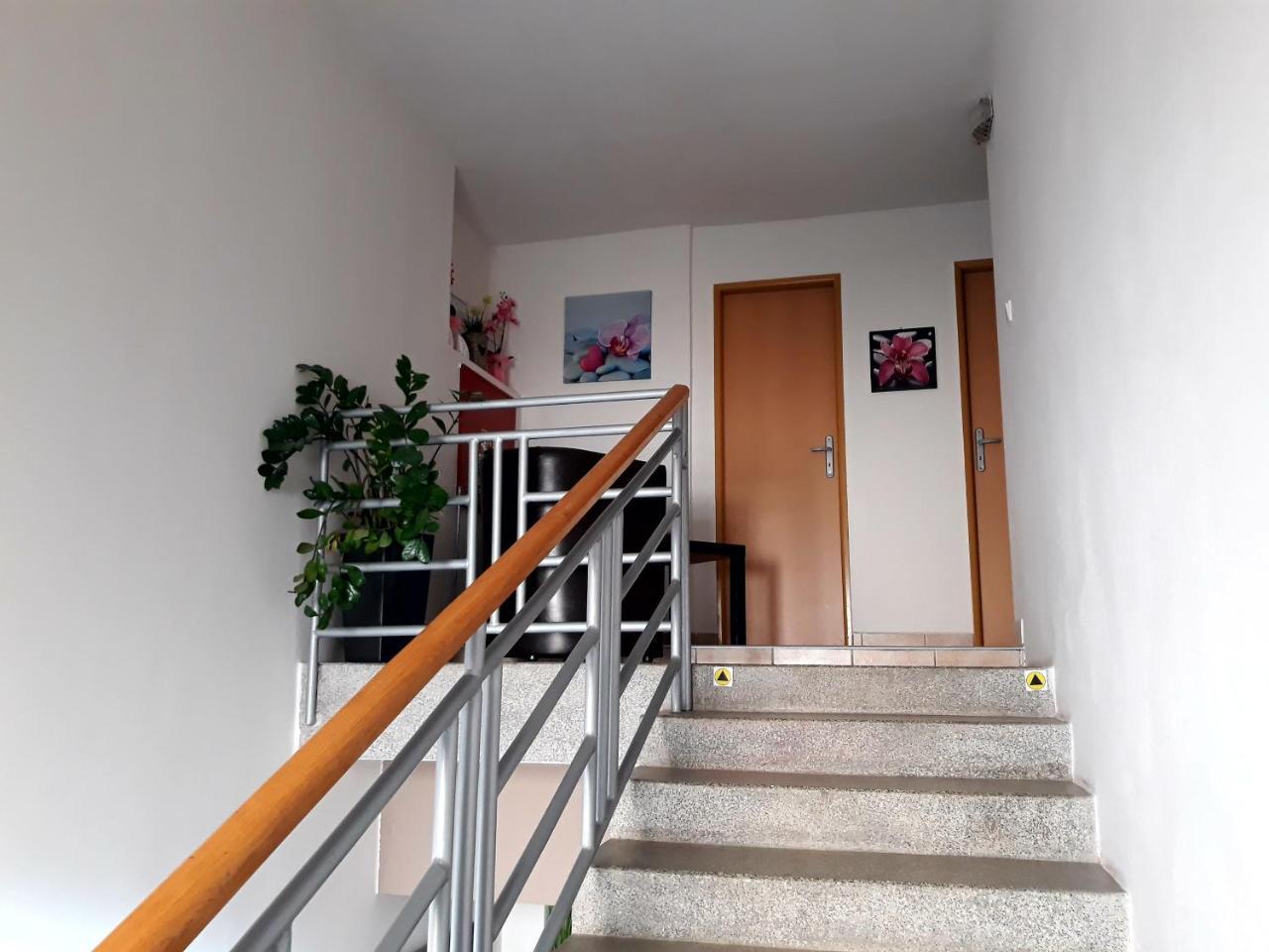 Penzion Fox Nemšová 外观 照片